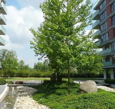 Diamond River Karlin *